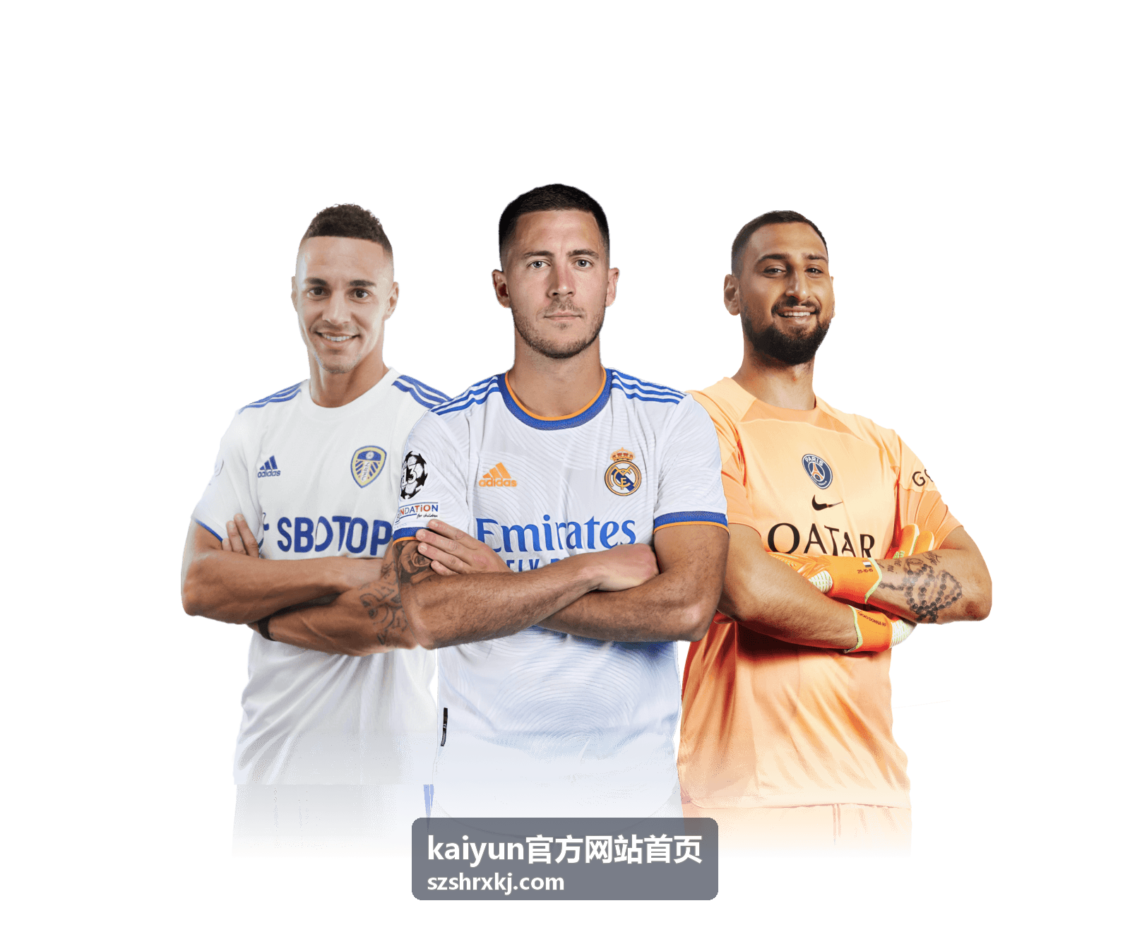kaiyun官方网站首页客户端数据面板截图